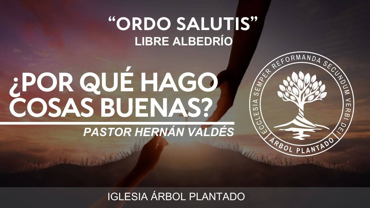404 - Ordo salutis -  Libre albedrío - ¿Por qué hago cosas buenas?