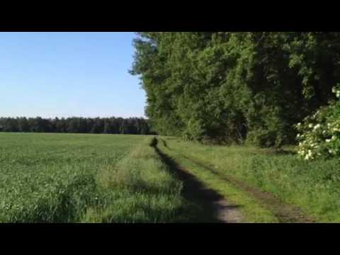 Natürlich Boldecker Land - Jembke - Bokensdorf