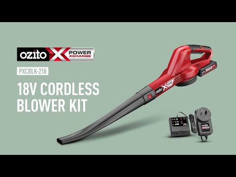 Ozito power x change 18v blower kit pxcblk-21