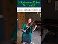 Ballydesmond Polkas No. 1 & 2 on Fiddle ☘️ #irishfiddle #fiddletunes #tradtunes