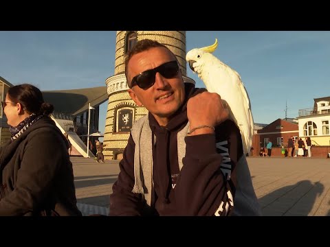 Kakadu Carlos und Frank - eine ganz besondere Freundschaft