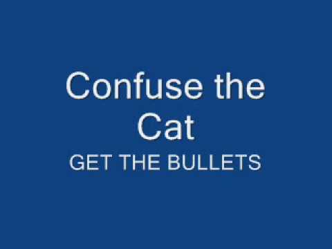 Confuse the Cat - Get the bullets