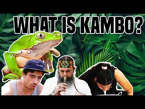 Was ist Kambo? - Froschmedizin