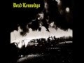 Dead Kennedys - Ill In The Head