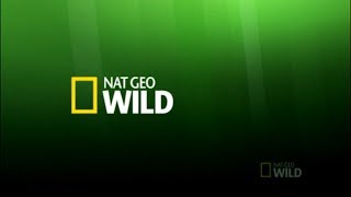Nat Geo Wild Latinoamérica - Gráficas (2016-2018