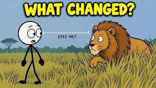 Why Does a Predator’s Brain Change the Moment It Realizes You’ve Seen It?