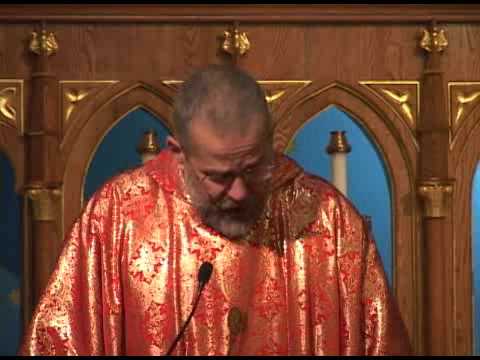 Nov 25 - Homily: Giving Thanks