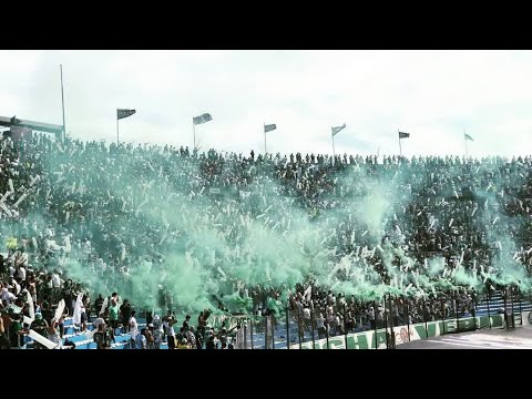 Mancha verde na final da libertadores 2021 , a diferença de uma torcida da moda, e uma que é foda!!