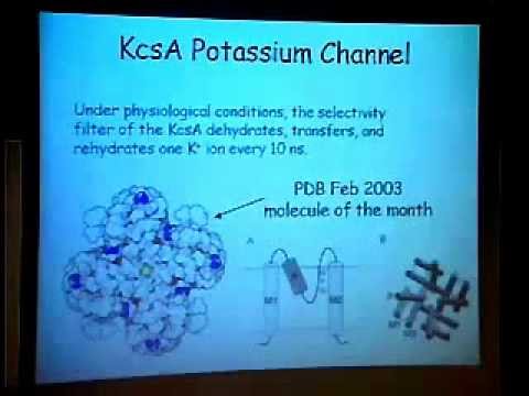 TCBG Summer School 2003: Simulating Membrane Channels - Introduction and Examples