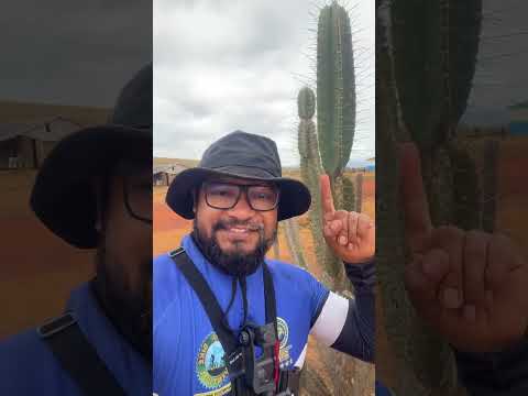 Comunidade Santa Creuza - Uiramutã- Roraima #video #videos #videoshow 