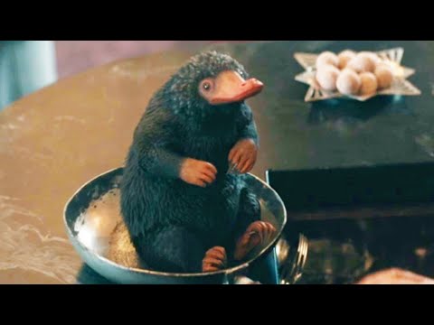 Panful of Niffler - Fantastic Beasts The Secrets of Dumbledore