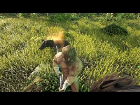 How to tame the hyaenodon easy and quick! Follow instruction