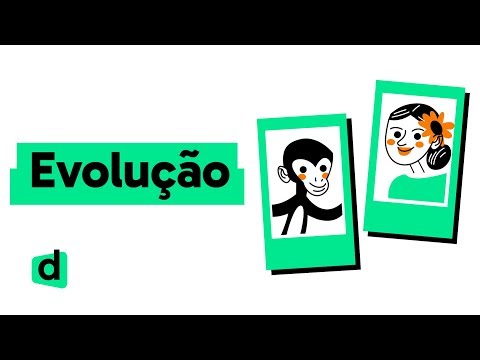 RESUMO SOBRE EVOLUÇÃO | QUER QUE DESENHE | DESCOMPLICA