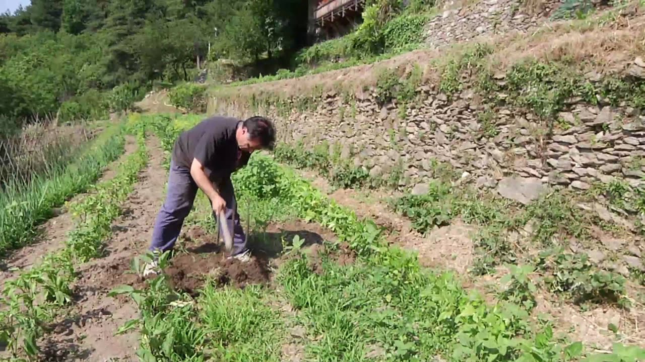 Video La Ca' Dell'alpe