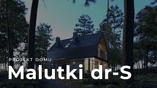 Projekt domu Malutki dr S BSA2184 - dom z użytkowym poddaszem od Extradom.pl