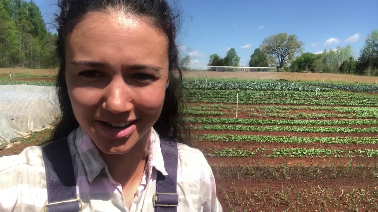 Video for CSA Week 1