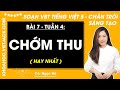 Vở bài tập Tiếng Việt Lớp 5 Bài 7: Chớm thu