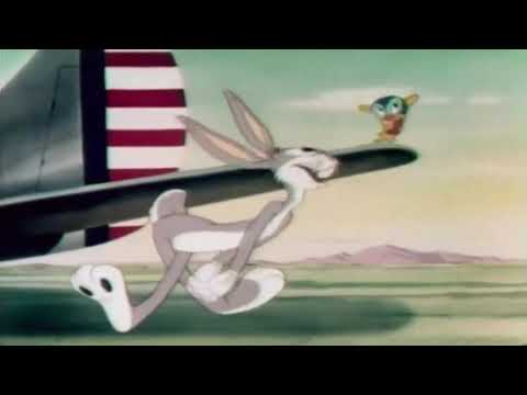 Dusko Dugousko - Zec koji pada