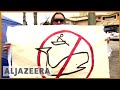 🐋 IWC rejects Japan's proposal to lift commercial whale hunting ban | Al Jazeera English