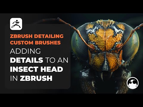 Detailing an Insect Head in ZBrush with Custom Brushes