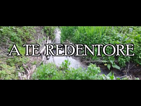 A TE REDENTORE  ( Inno tradizionale n° 257 - Melodia popolare ) - Chiesa Evangelica Modena -