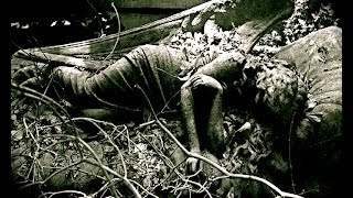 DEPRESSION...Death Of The Soul (Quick message)