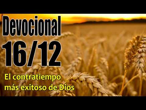 El contratiempo más exitoso de Dios. Devocional John Piper Solid Joys 16/12