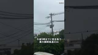 【速報】台風9号が接近する宮古島　強風で木や電線が揺れる