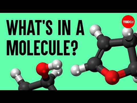 The science of macaroni salad: What's in a molecule? - Josh Kurz
