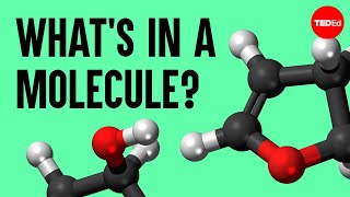 The science of macaroni salad: What&#39;s in a molecule? - Josh Kurz
