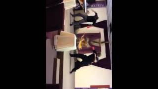 Something About The Name Jesus by Rance Allen &amp; Kirk Frankl