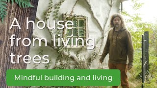 A House built from Living Trees is truly Nature&#39;s Architecture