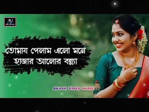 তোমায় পেলাম এলো মনে হাজার আলোর বন্যা - Kumar Sanu and Alka Yagnik | Full HD Audio Song with Lyrics