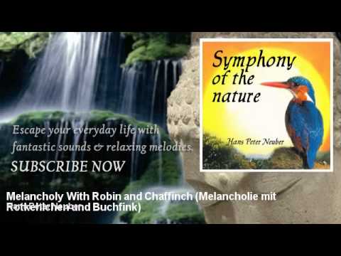 Hans Peter Neuber - Melancholy With Robin and Chaffinch - Melancholie mit Rotkehlchen und Buchfink