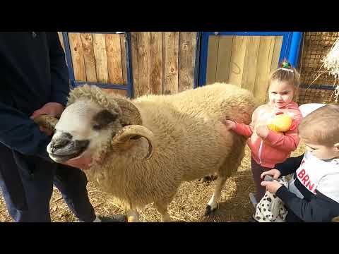 Znanje imanje: Sigurna proizvodnja