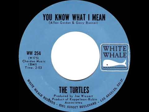 1967 HITS ARCHIVE: You Know What I Mean - Turtles (mono)