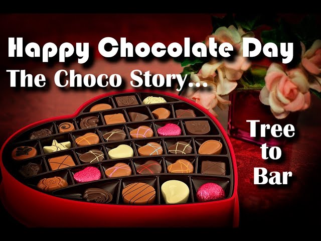 Video Pronunciation of World Chocolate Day in English Video Pronunciation of World Chocolate Day in English