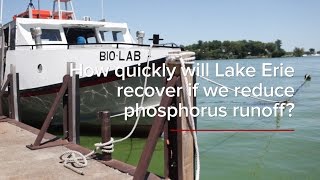 HABs FAQs: How quickly will Lake Erie recover if we reduce phosphorus runoff?