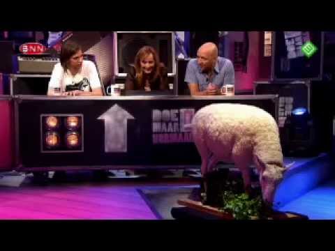 Doe maar normaal Seizoen 3 Aflevering 7 Angela Groothuizen en Dio