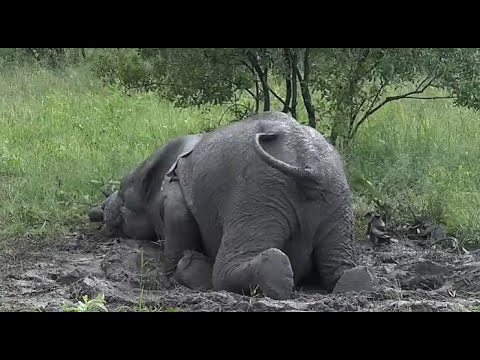 March 03 - Rain in Djuma! Dams and rivers filled up.