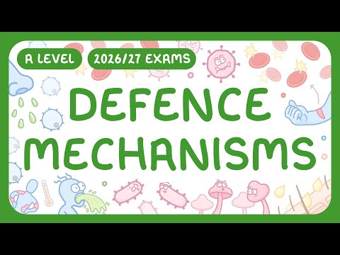 A-Level Biology - Defence Mechanisms - Pathogens | Non-specific Defences | Antigens (2026/27 exams)