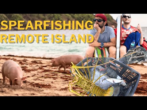 we brought Foreigners to Spearfish in a Remote island in Palawan!