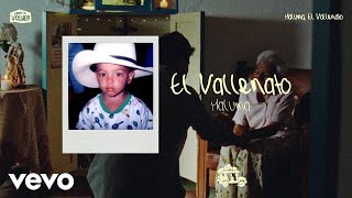 El Vallenato Lyrics English Translation