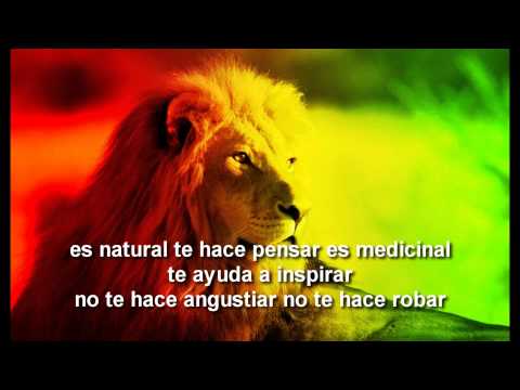 Dicen Y Dicen - Zona Ganjah