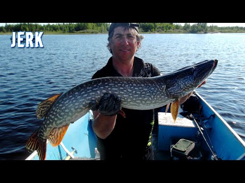 I SEGRETI DEL LUCCIO 2 - CAP. 8 - JERK