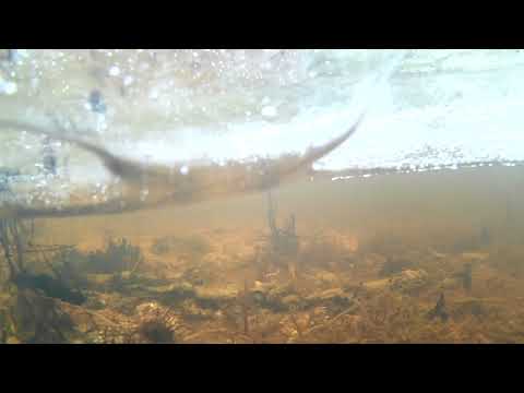 KRA LODOWA - LODOWY ŚWIAT