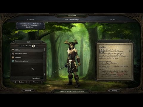 Pillars of Eternity Technik Review / Test vom Old-School-Rollenspiel