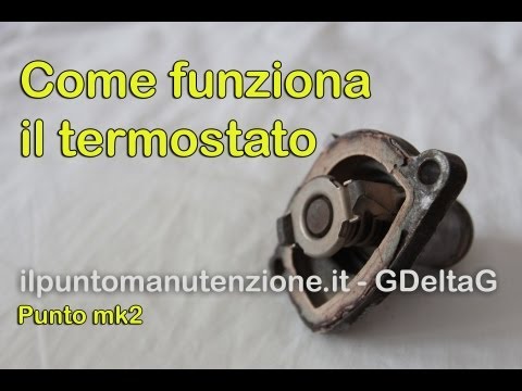 Mal di schiena debolezza muscolare Artrosi del ginocchio dopo lintervento chirurgico recensioni