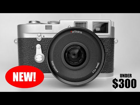 Video thumbnail for Video Review 1