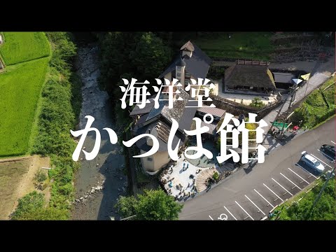 かっぱうようよ！海洋堂かっぱ館　四万十町打井川